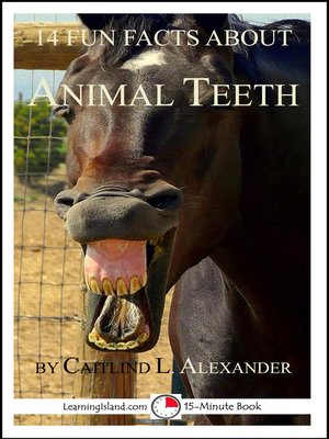 cover image of 14 Fun Facts About Animal Teeth